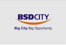 BSD City